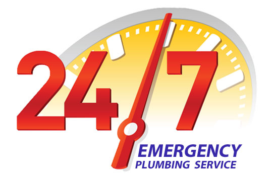 Anytime Plumbers for Plumbers in Dillon Beach, CA